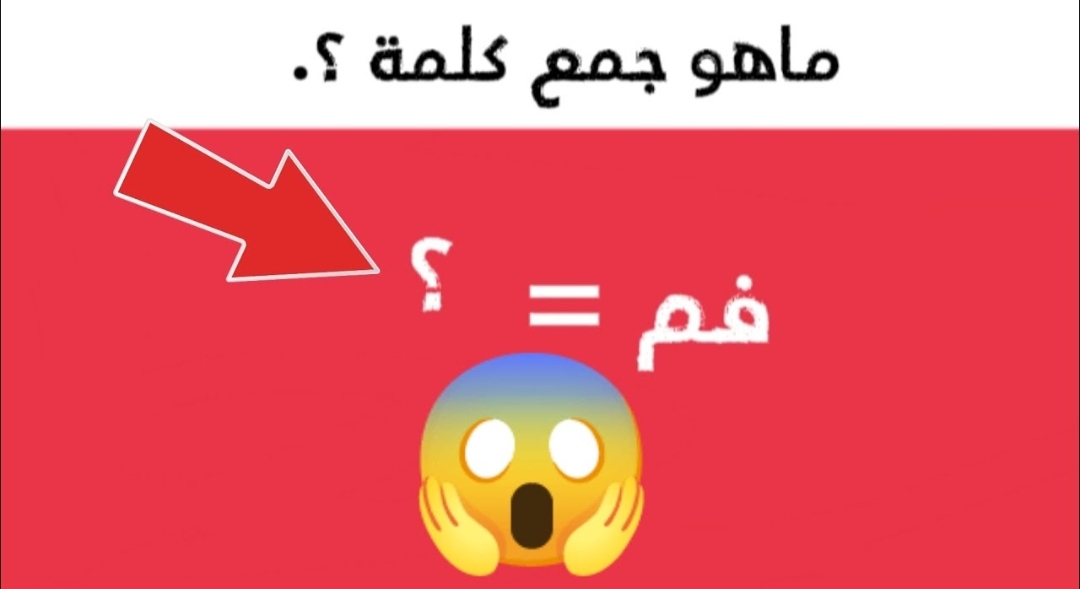 للعباقرة فقط”.. ما هو جمع كلمة فم في معجم اللغة العربية.. عجز عن حلها دكاترة الجامعة