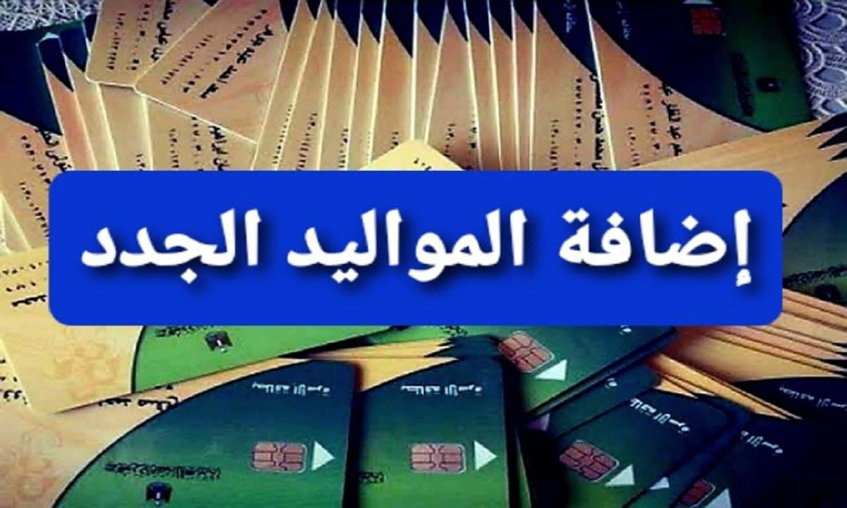 فقط لهؤلاء .. الفئات المسموح لها بإضافة المواليد الجدد على بطاقة التموين 2025