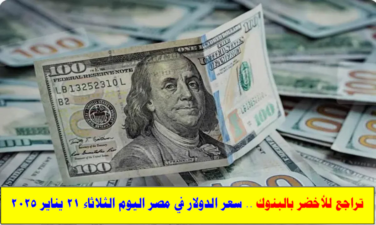 تراجع للأخضر بالبنوك .. سعر الدولار في مصر اليوم الثلاثاء 21 يناير 2025