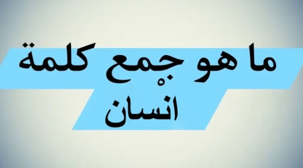 للعباقرة فقط”.. ما هو جمع كلمة “إنسان” في معجم اللغة العربية.. عجز عن حلها دكاترة الجامعة