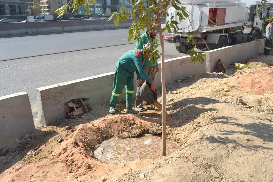 تشجير الطريق الدائرى والمحاور المرورية بالقاهرة الكبرى.. بيان رسمي من الحكومة