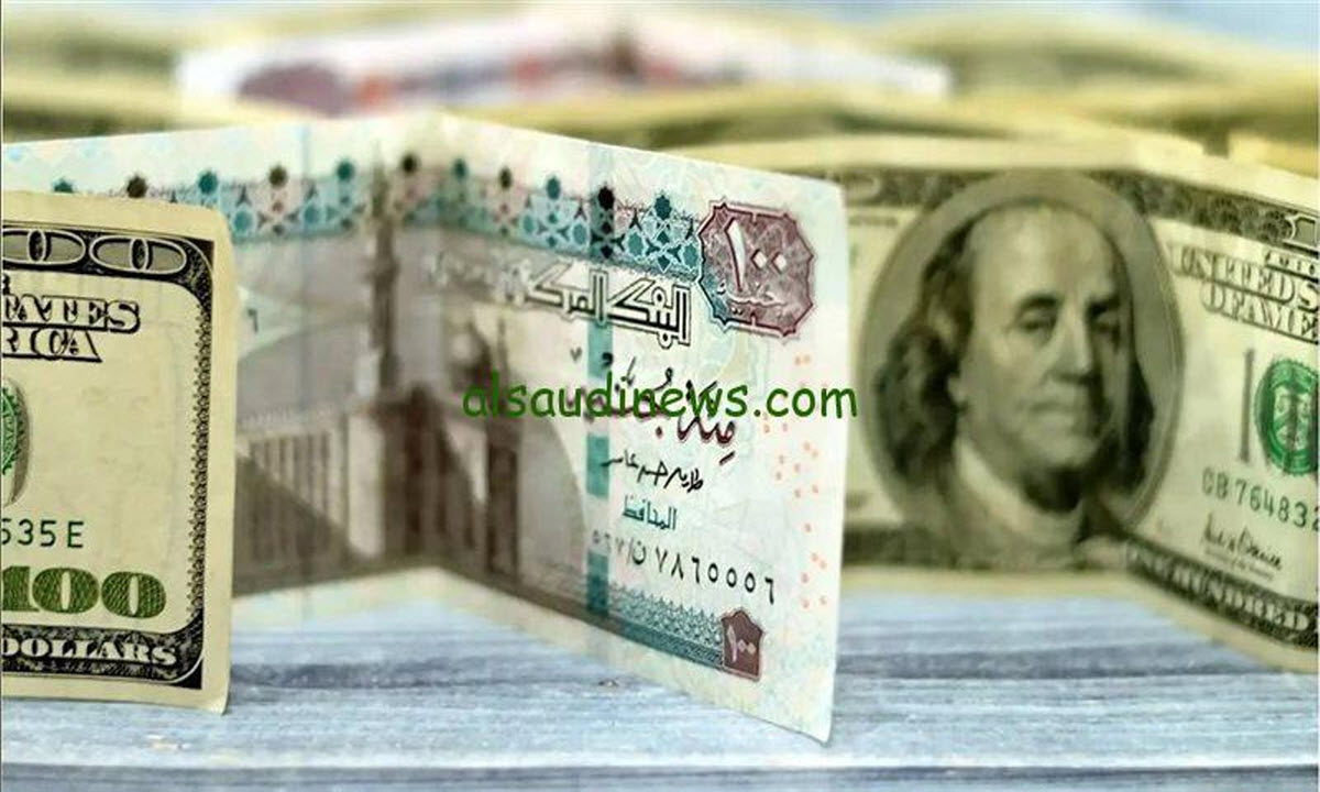 بعد القفزة الأخيرة للأخضر .. سعر الدولار اليوم 15 فبراير 2025 في البنوك المصرية